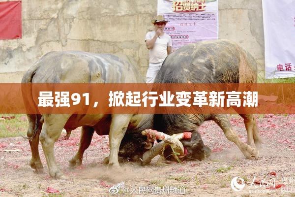 最强91，掀起行业变革新高潮