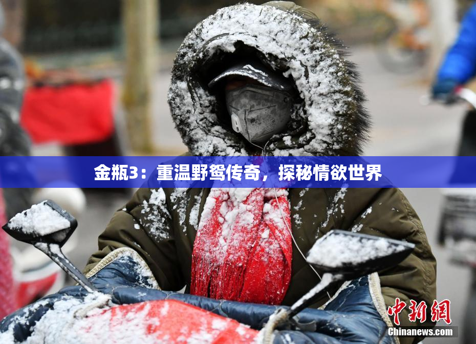 金瓶3：重温野鸳传奇，探秘情欲世界