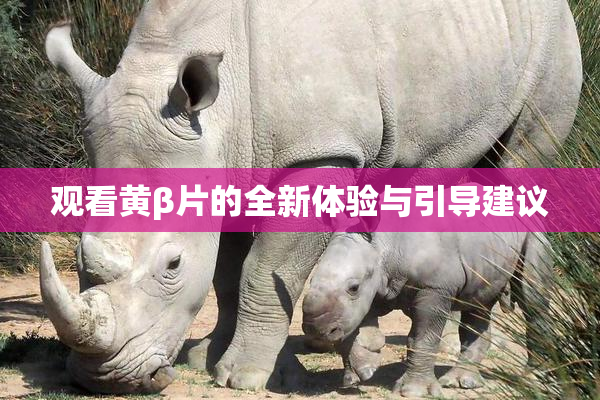 观看黄β片的全新体验与引导建议