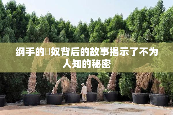 纲手的婬奴背后的故事揭示了不为人知的秘密
