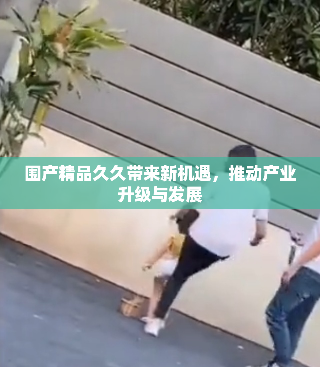 围产精品久久带来新机遇，推动产业升级与发展