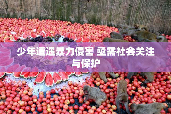 少年遭遇暴力侵害 亟需社会关注与保护