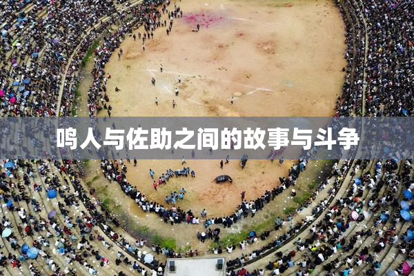 鸣人与佐助之间的故事与斗争