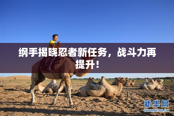 纲手揭晓忍者新任务，战斗力再提升！