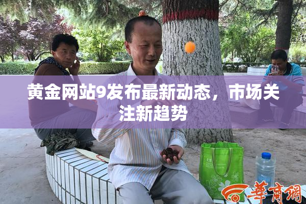 黄金网站9发布最新动态，市场关注新趋势