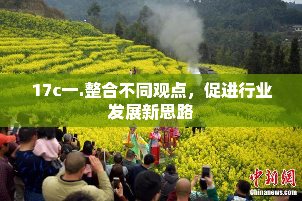 17c一.整合不同观点，促进行业发展新思路