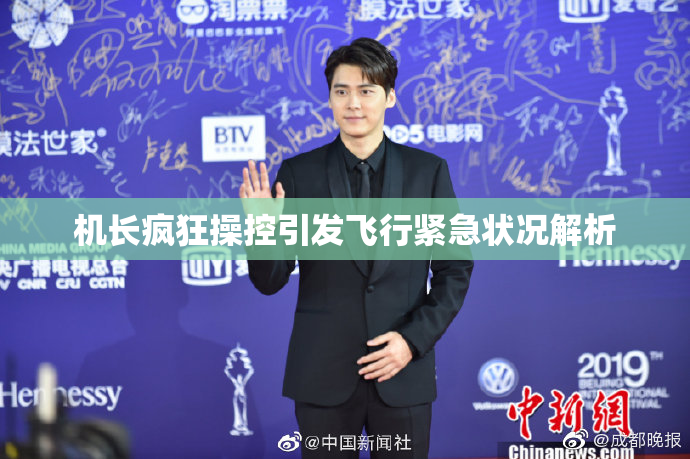 机长疯狂操控引发飞行紧急状况解析