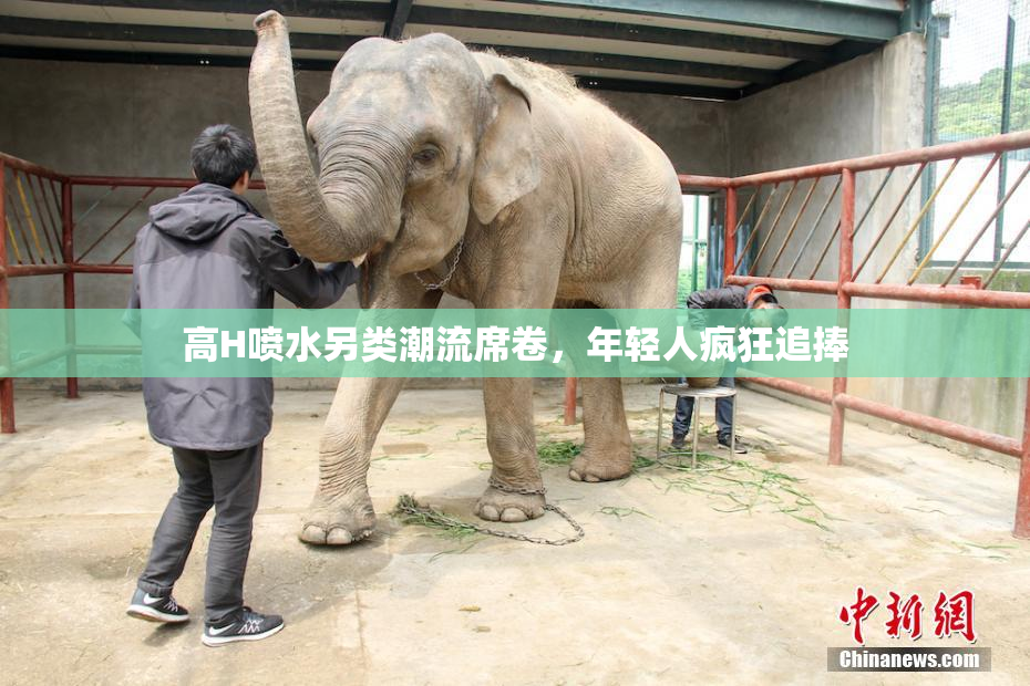 高H喷水另类潮流席卷，年轻人疯狂追捧