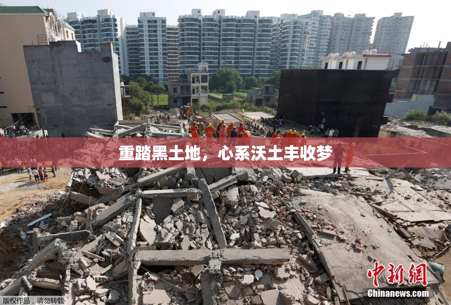 重踏黑土地，心系沃土丰收梦