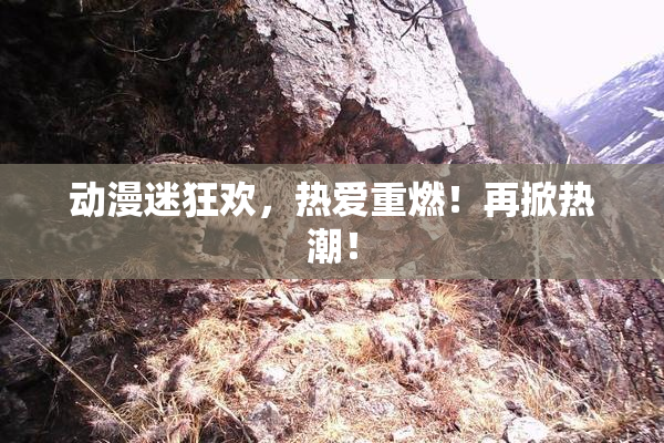 动漫迷狂欢，热爱重燃！再掀热潮！