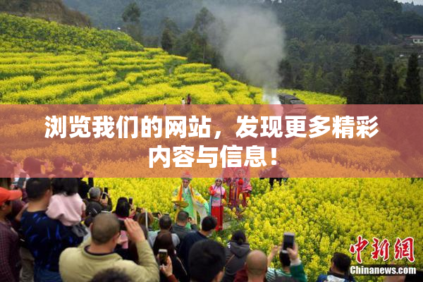 浏览我们的网站，发现更多精彩内容与信息！
