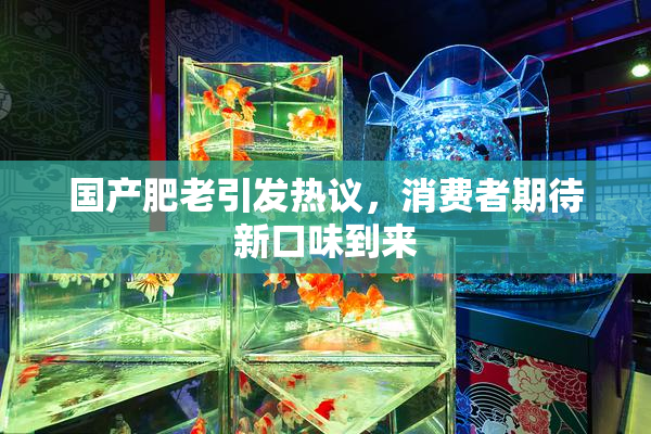 国产肥老引发热议，消费者期待新口味到来