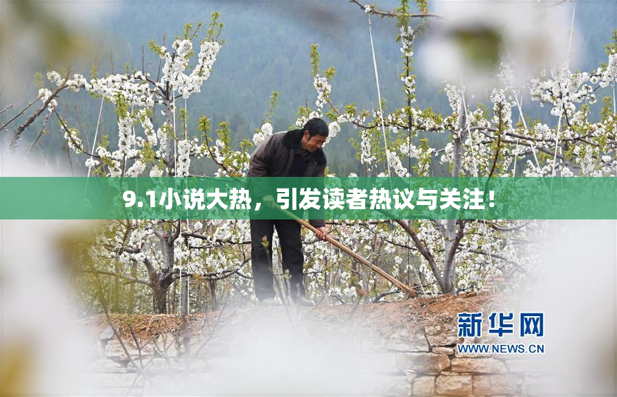 9.1小说大热，引发读者热议与关注！
