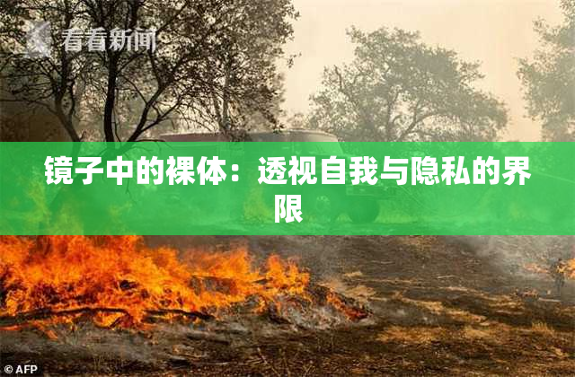 镜子中的裸体：透视自我与隐私的界限