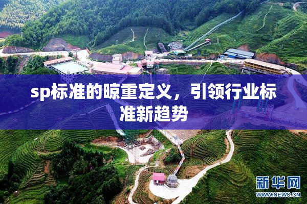 sp标准的晾重定义，引领行业标准新趋势