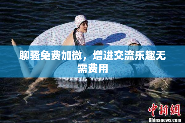 聊骚免费加微，增进交流乐趣无需费用