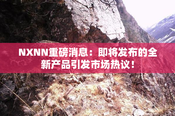 NXNN重磅消息：即将发布的全新产品引发市场热议！