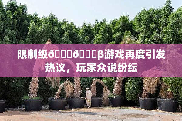限制级🍆🍑β游戏再度引发热议，玩家众说纷纭
