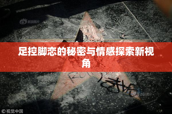足控脚恋的秘密与情感探索新视角