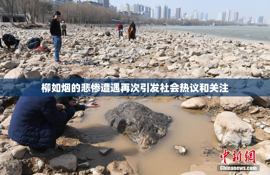 柳如烟的悲惨遭遇再次引发社会热议和关注
