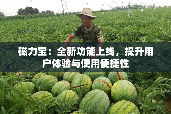 磁力宝：全新功能上线，提升用户体验与使用便捷性