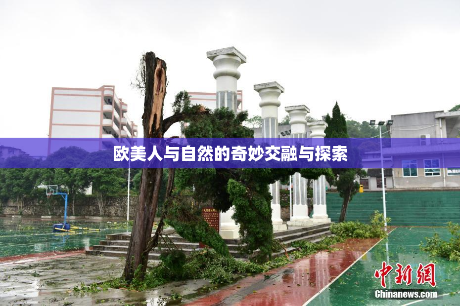 欧美人与自然的奇妙交融与探索