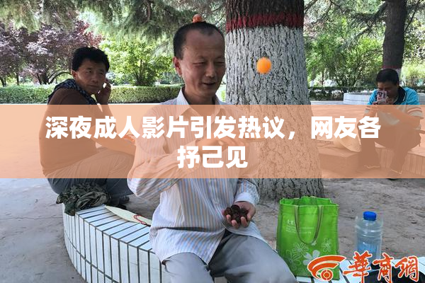 深夜成人影片引发热议，网友各抒己见