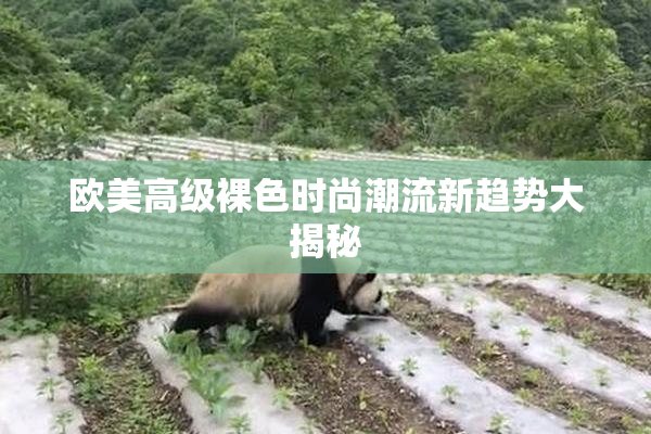 欧美高级裸色时尚潮流新趋势大揭秘