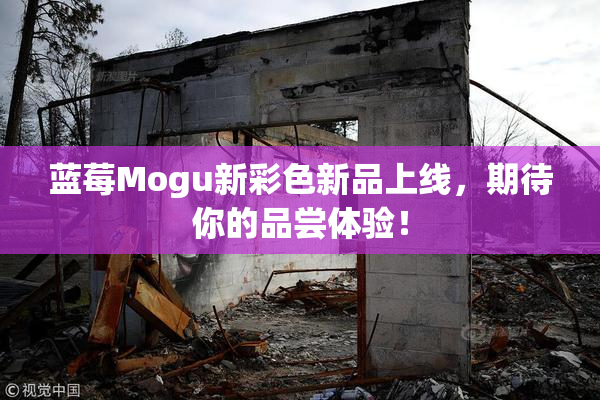 蓝莓Mogu新彩色新品上线，期待你的品尝体验！