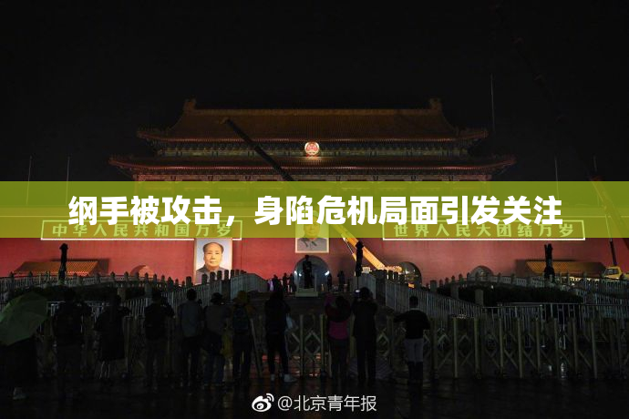 纲手被攻击，身陷危机局面引发关注