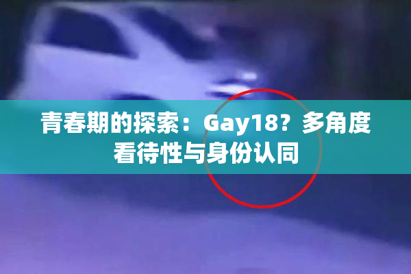 青春期的探索：Gay18？多角度看待性与身份认同