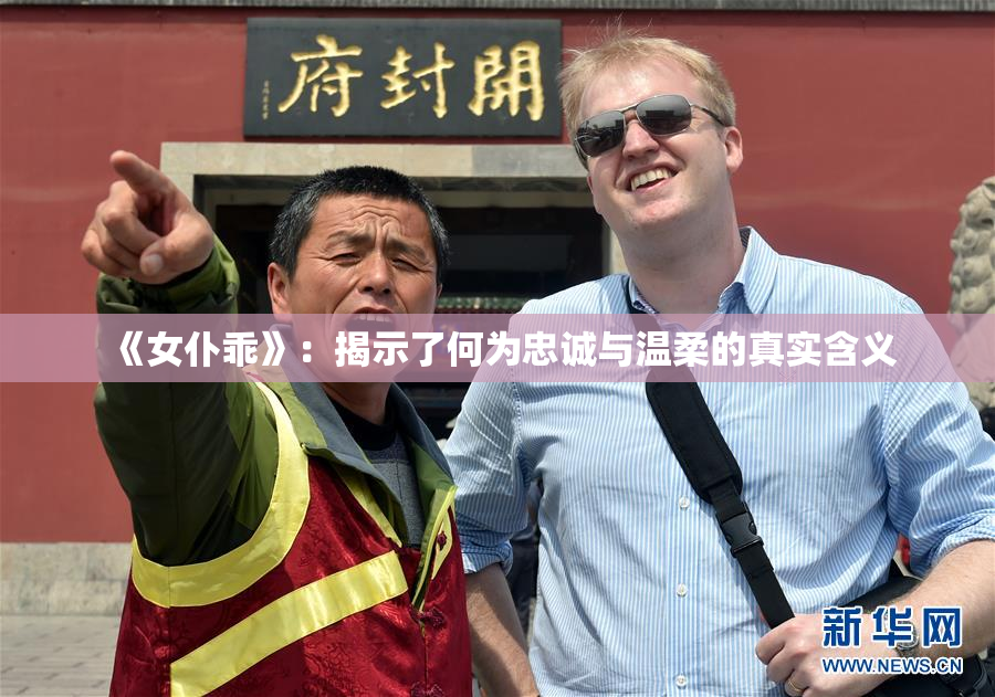《女仆乖》：揭示了何为忠诚与温柔的真实含义