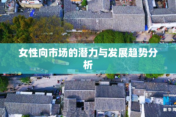 女性向市场的潜力与发展趋势分析