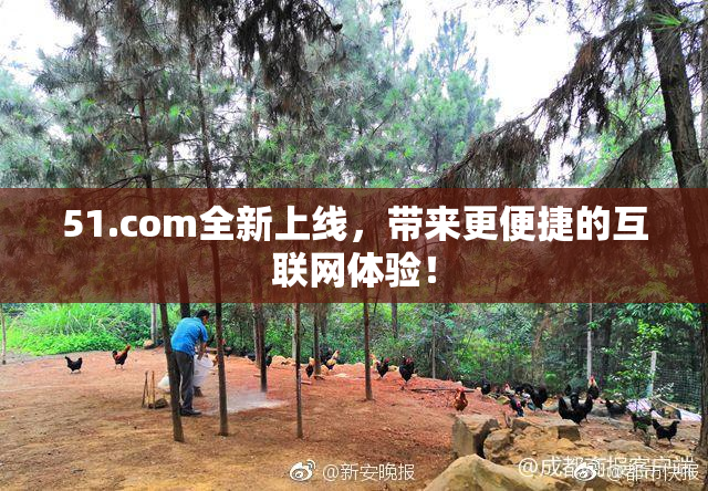 51.com全新上线，带来更便捷的互联网体验！