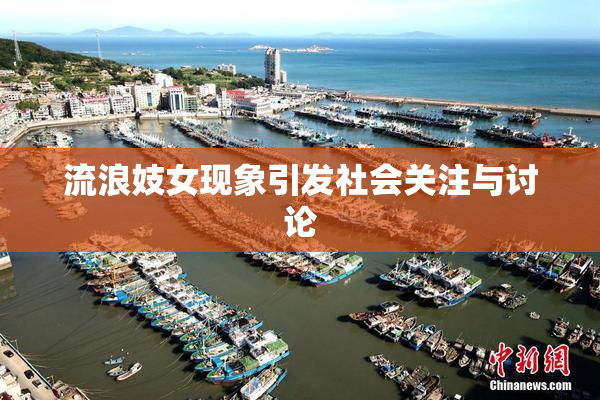 流浪妓女现象引发社会关注与讨论