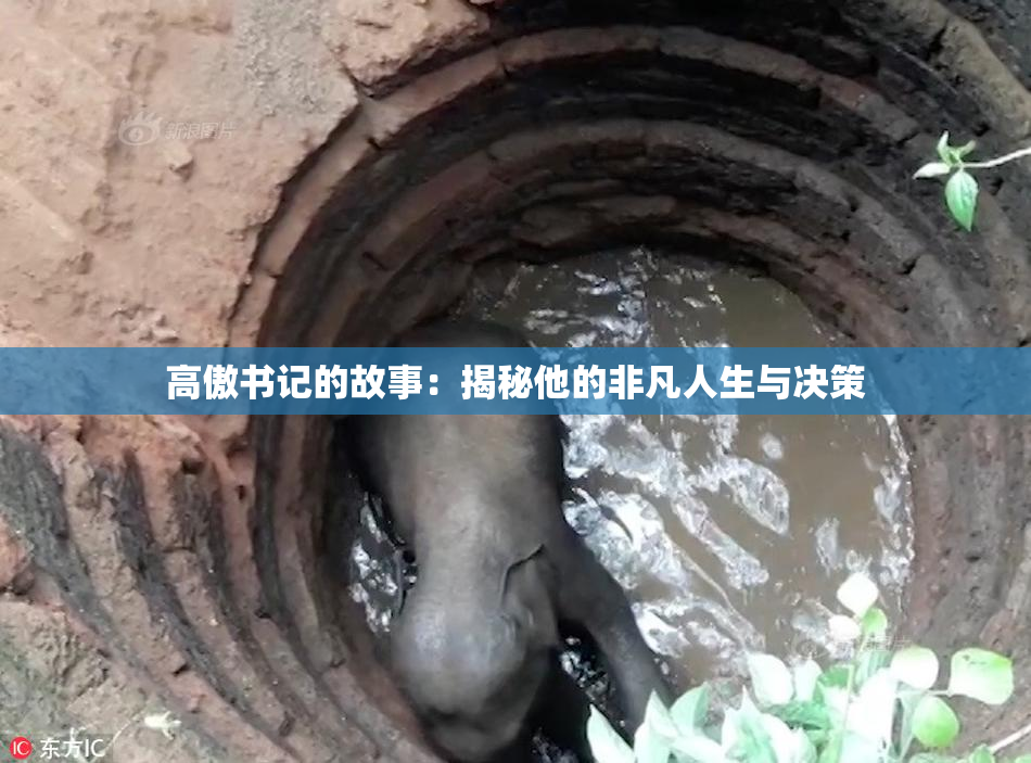高傲书记的故事：揭秘他的非凡人生与决策