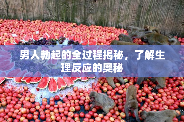 男人勃起的全过程揭秘，了解生理反应的奥秘