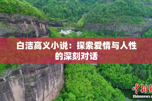 白洁高义小说：探索爱情与人性的深刻对话