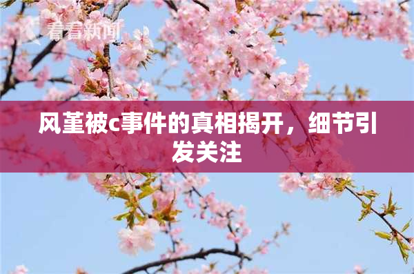 风堇被c事件的真相揭开，细节引发关注