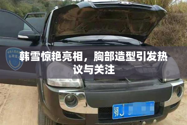 韩雪惊艳亮相，胸部造型引发热议与关注