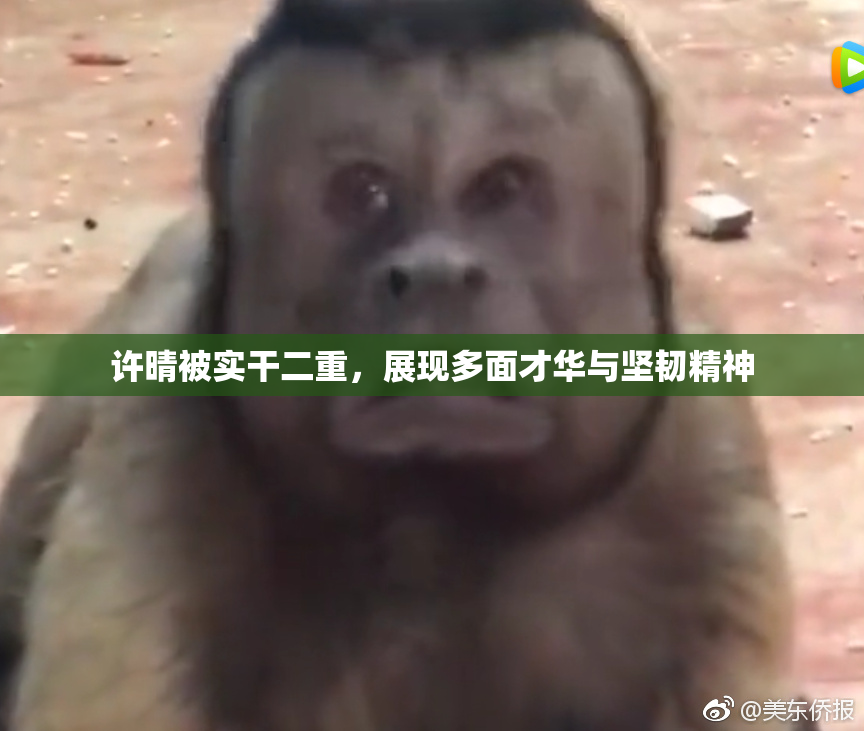 许晴被实干二重，展现多面才华与坚韧精神