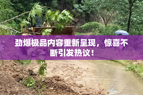 劲爆极品内容重新呈现，惊喜不断引发热议！
