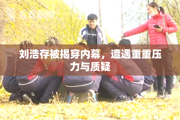 刘浩存被揭穿内幕，遭遇重重压力与质疑