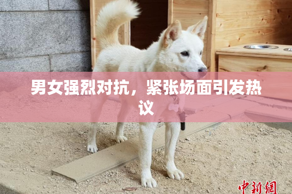 男女强烈对抗，紧张场面引发热议