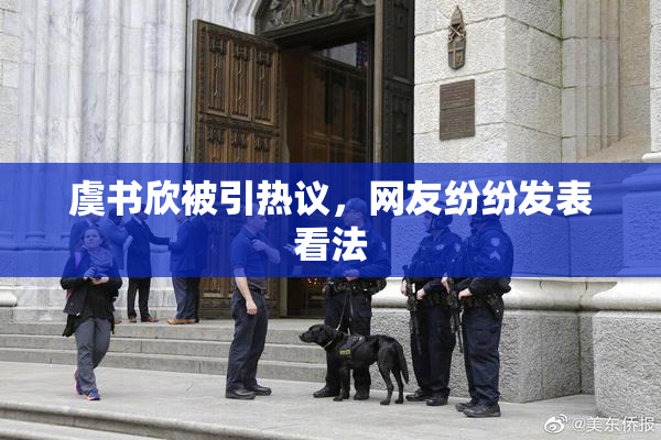 虞书欣被引热议，网友纷纷发表看法