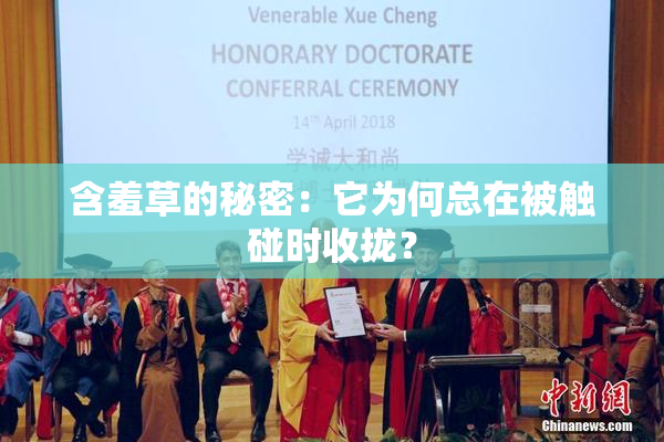 含羞草的秘密：它为何总在被触碰时收拢？