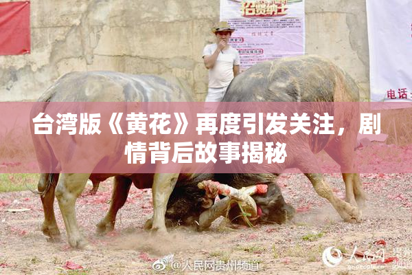 台湾版《黄花》再度引发关注，剧情背后故事揭秘