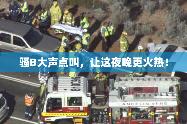 骚B大声点叫，让这夜晚更火热！