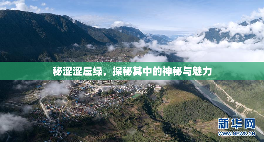 秘涩涩屋绿，探秘其中的神秘与魅力