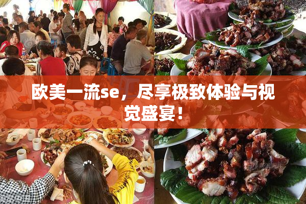 欧美一流se，尽享极致体验与视觉盛宴！